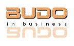BUDO in business